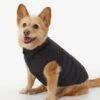 LOLE Ellie Dog Jacket - Black