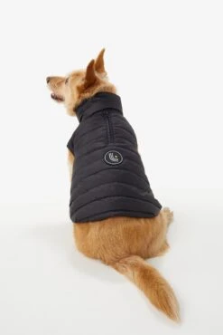 LOLE Ellie Dog Jacket - Black -Lole Fashion Shop LAW0872 N101 2 1900x