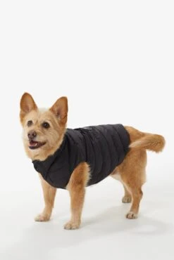 LOLE Ellie Dog Jacket - Black -Lole Fashion Shop LAW0872 N101 3 1900x