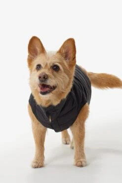 LOLE Ellie Dog Jacket - Black -Lole Fashion Shop LAW0872 N101 4 1900x