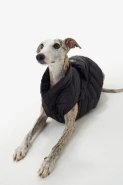 LOLE Ellie Dog Jacket - Black -Lole Fashion Shop LAW0872 N101 5 1900x