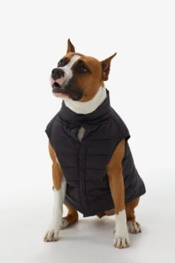 LOLE Ellie Dog Jacket - Black -Lole Fashion Shop LAW0872 N101 6 1900x