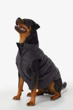 LOLE Ellie Dog Jacket - Black -Lole Fashion Shop LAW0872 N101 7 1900x